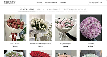 shop